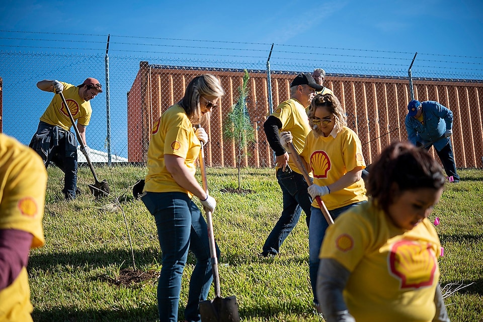 Shell employees planting trees near Port Houston