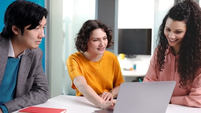 Employees in a meeting