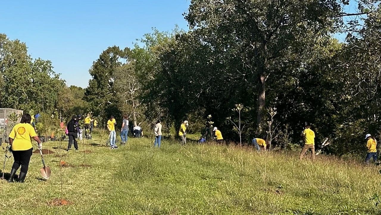 Shell employees planting trees in Houston