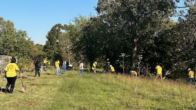 Shell employees planting trees in Houston