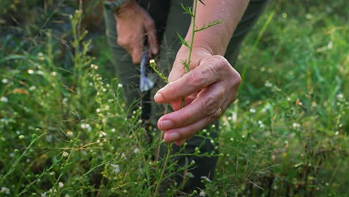 person washing the sideway of a park