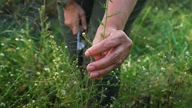 person washing the sideway of a park