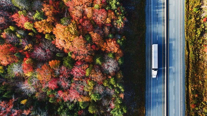 R-CNG as a fuel for transportation