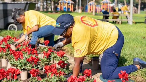 people in yellow shell shirts planting flowers