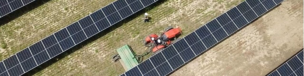 overhead view of farming tractor pulling a combine between rows of solar panels.