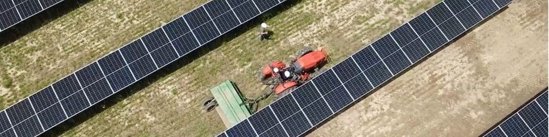 overhead view of farming tractor pulling a combine between rows of solar panels.