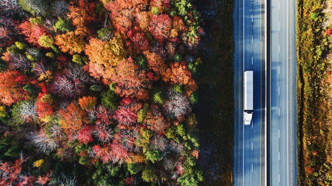 R-CNG as a fuel for transportation