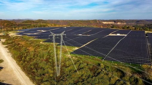 large solar panels with greenery around it 