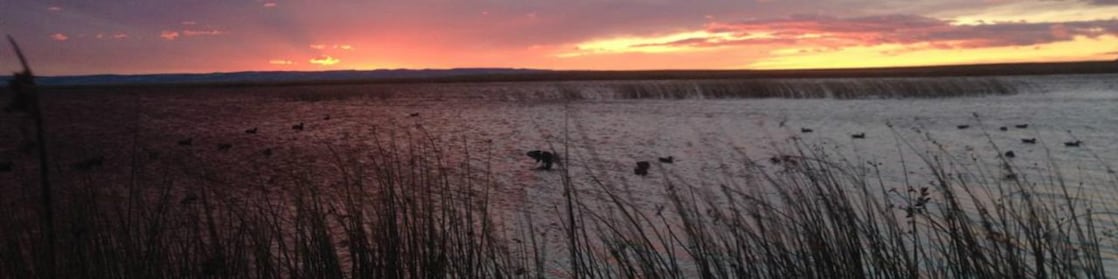 Marshland at dusk with a red sunset in the background