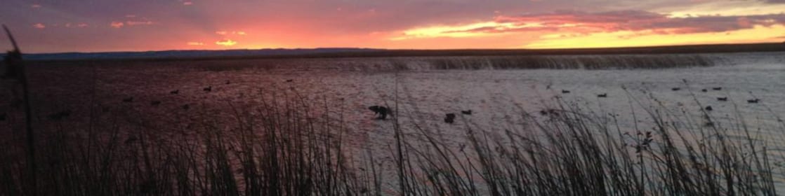 Marshland at dusk with a red sunset in the background