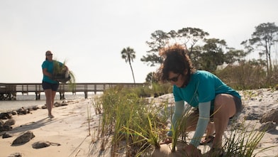  Shell volunteer plants native grasses