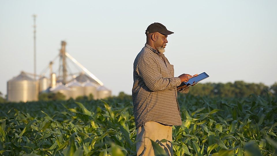 Farmer with digital tablet in crop field