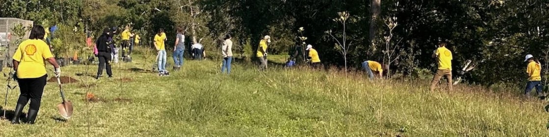 Shell employees planting trees in Houston
