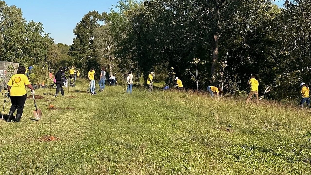 Shell employees planting trees in Houston