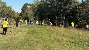 Shell employees planting trees in Houston