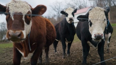 Beaver County, PA, is in the midst of an upswing, creating the opportunity for a reeducated workforce to thrive in 21st century industries.