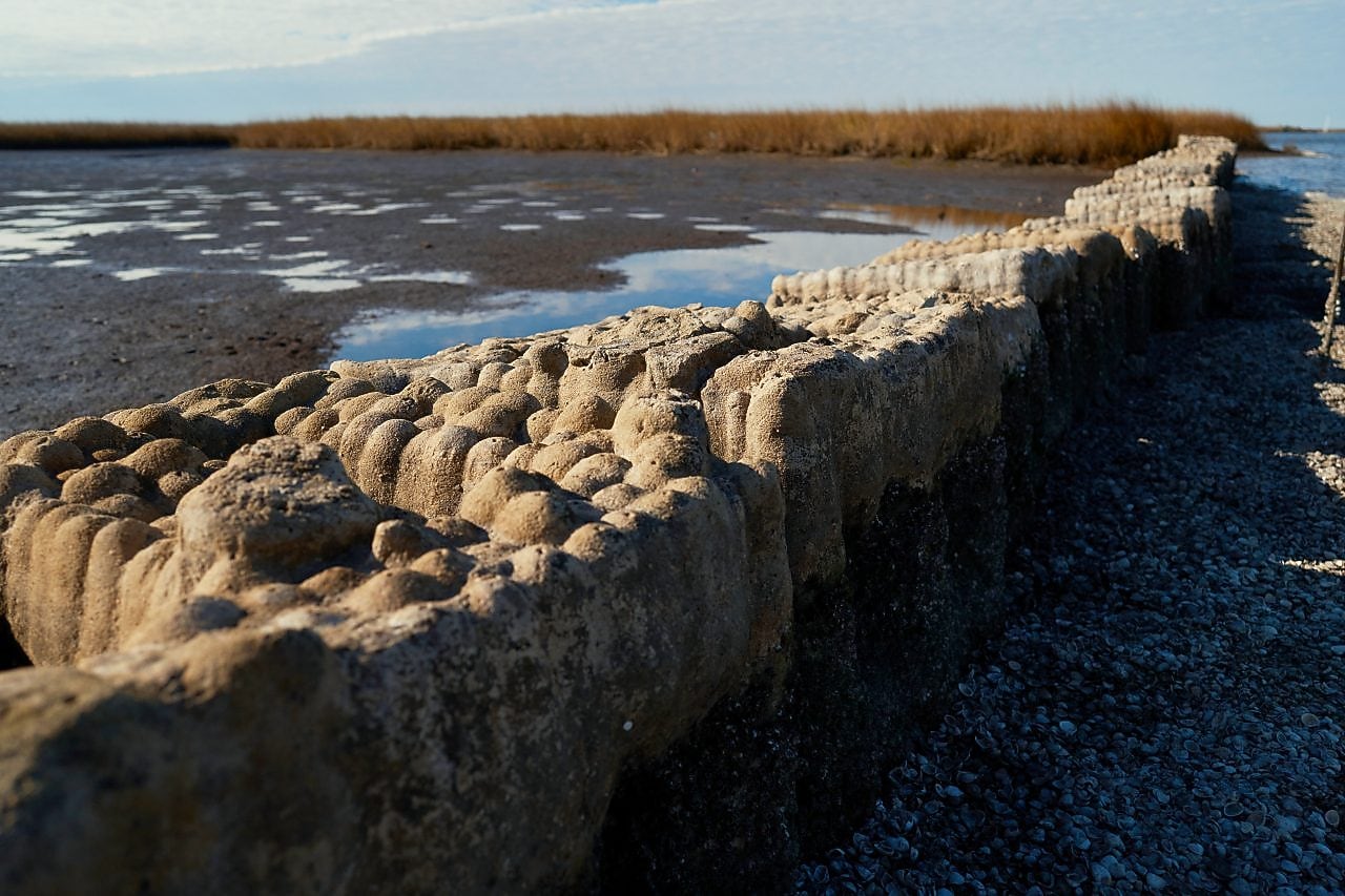 3-D printed reef along coastline