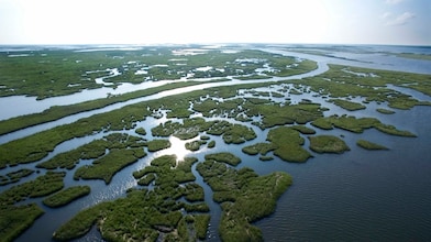 Coastal conservation powering progress