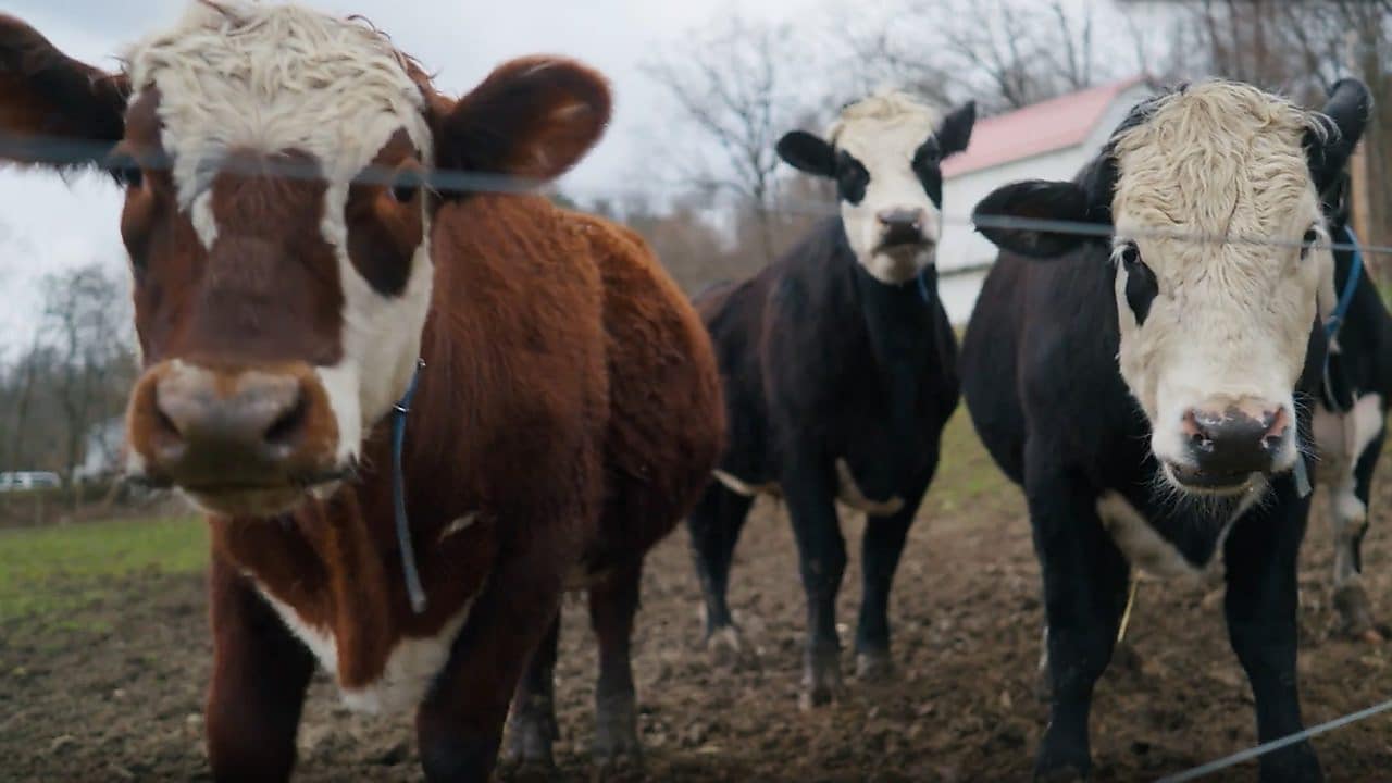 Beaver County, PA, is in the midst of an upswing, creating the opportunity for a reeducated workforce to thrive in 21st century industries.