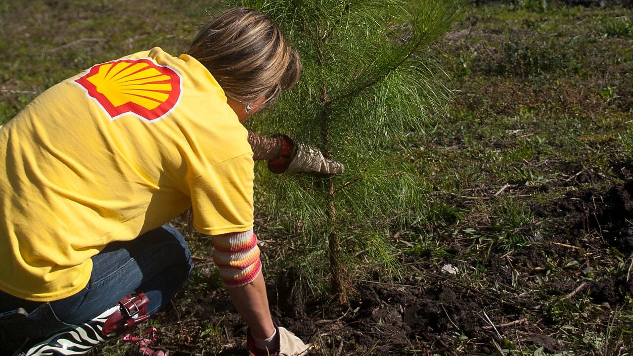 Shell Deer Park Refinery