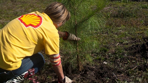 Shell Deer Park Refinery