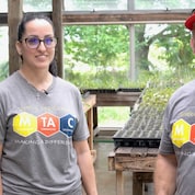 Volunteers working together