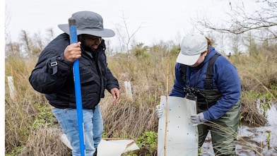 Two individuals work in the wetland, using a shovel and tools to plant trees