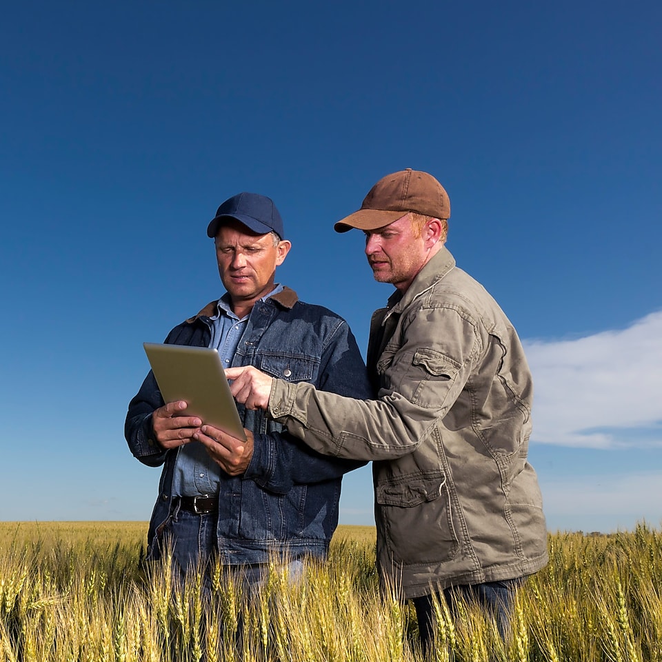 Two farmers in a field looking at data on an iPad