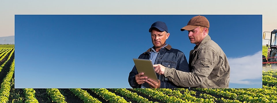 Two farmers looking at a tablet