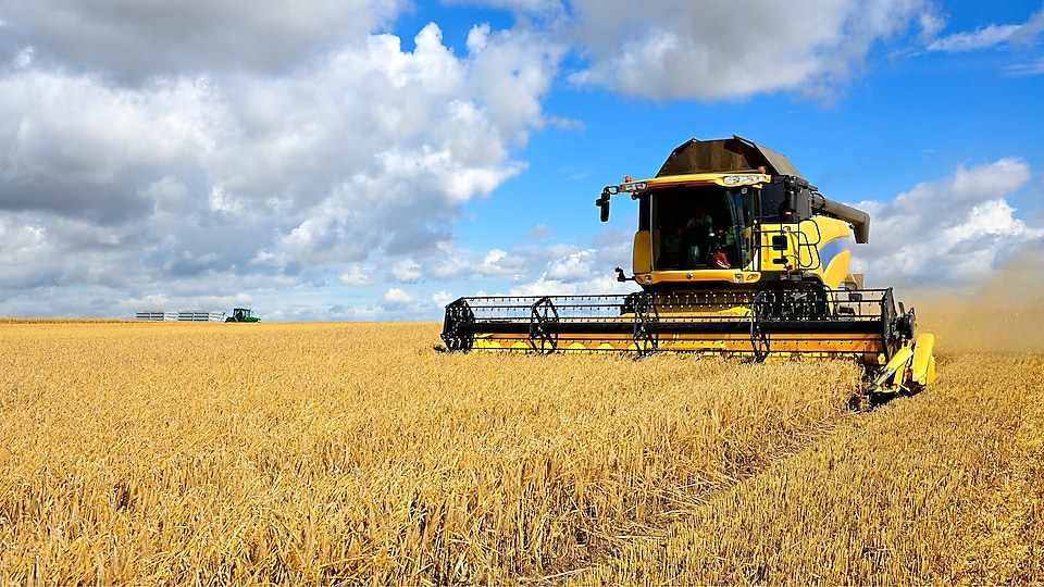  Yellow combine harvester in a field of wheat