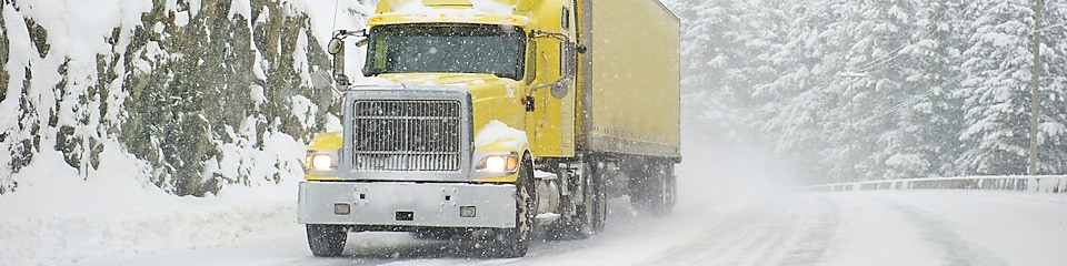 Icy conditions required risk mitigation strategies to keep polyethylene supply chains moving