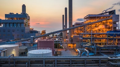 Picture of Shell Plant