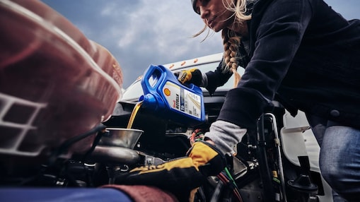 Shell Rotella T6 10W