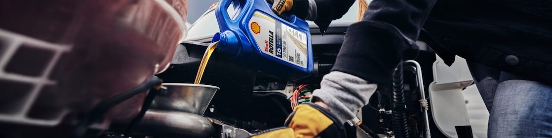 Shell Rotella T6 10W