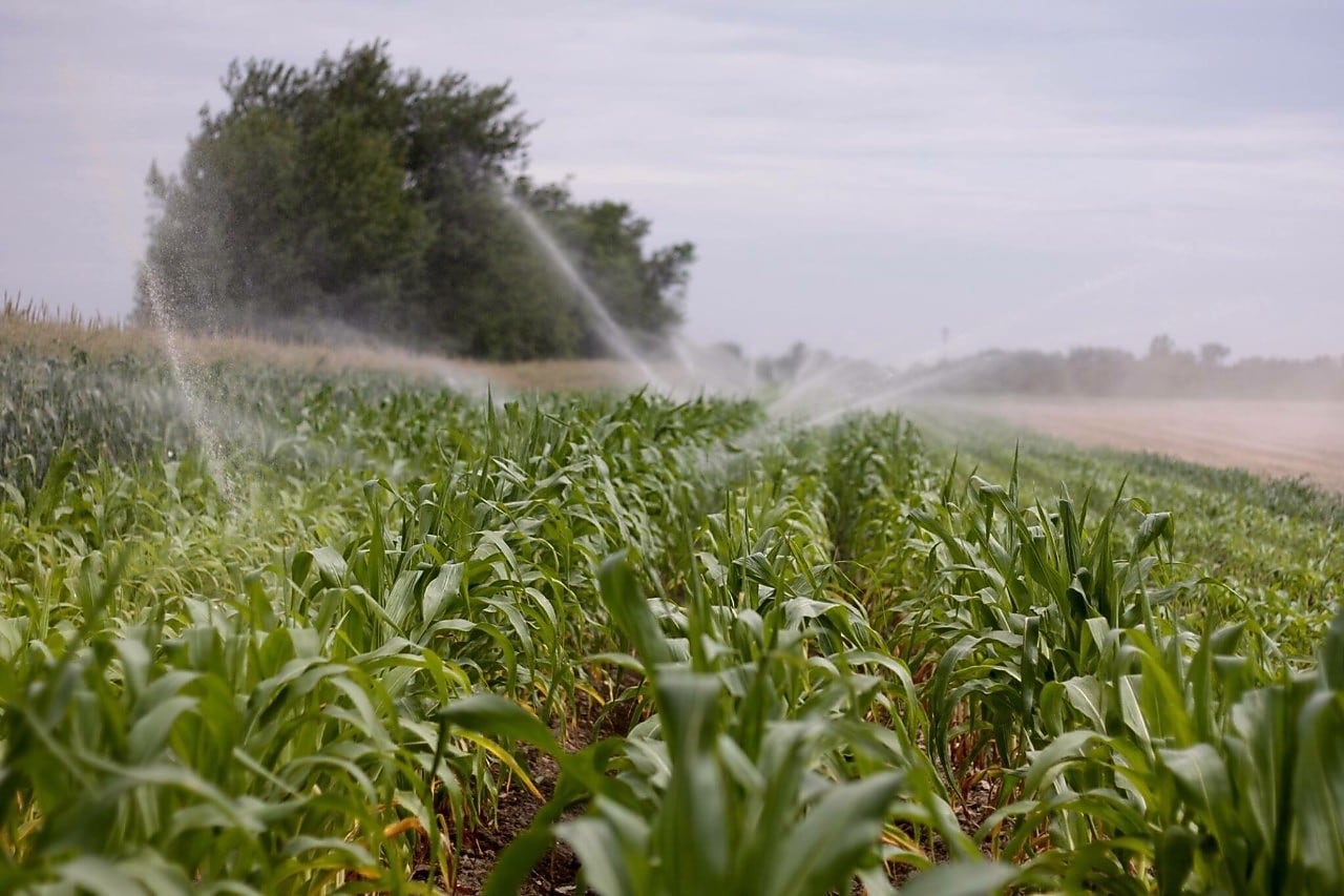 A field in a farm is watered