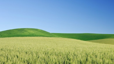 Shell Remote Sense for landfill engines