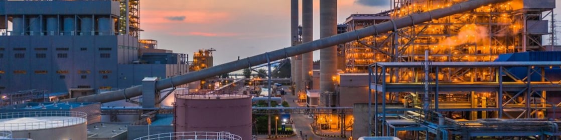 Picture of Shell Plant