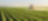 Next generation mineral oil free crop protection