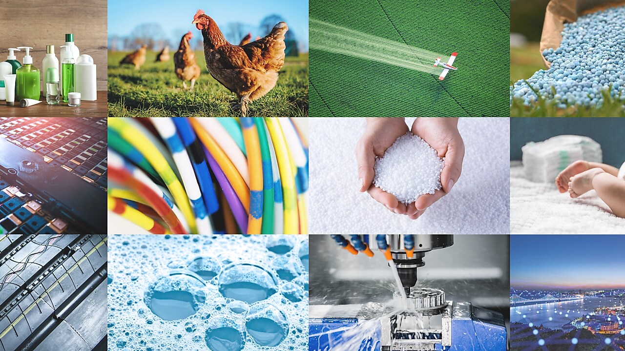 Cosmetics, agriculture, chickens