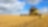 agriculture case study