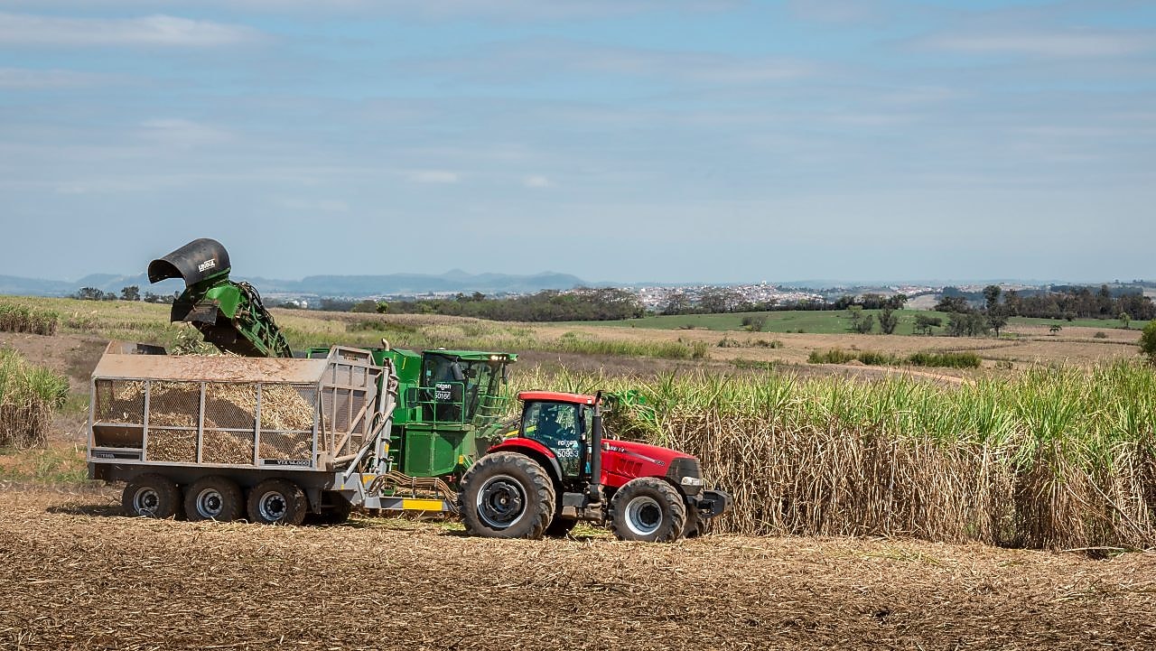 Raizen brazil harvesting and production