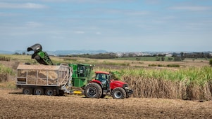 Raizen brazil harvesting and production