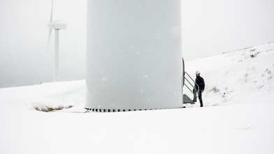 Expert assessing wind turbine
