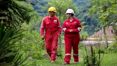 Collaboration with our experts