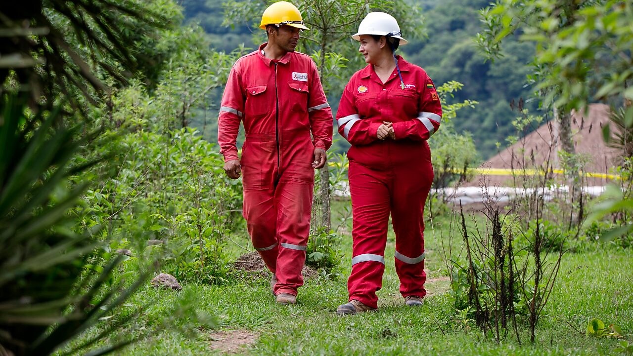 Collaboration with our experts