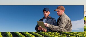 Two farmers looking at a tablet