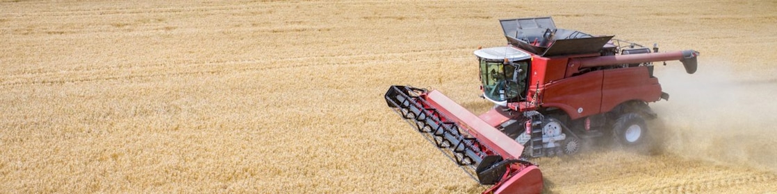 a combine harvester mows a field