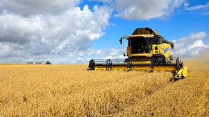 Combine harvester in field