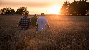 Group walking through wheat field