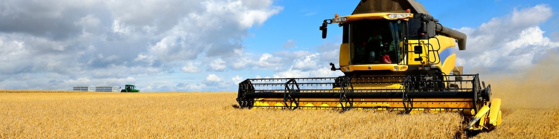 Combine harvester in crop field